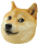 :doge: