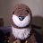 slider the otter